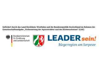 Beispiel_Fo?rderlogos_Website.PNG
